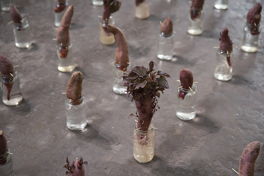 Camargo 1020 Espacio de Arte - 2021