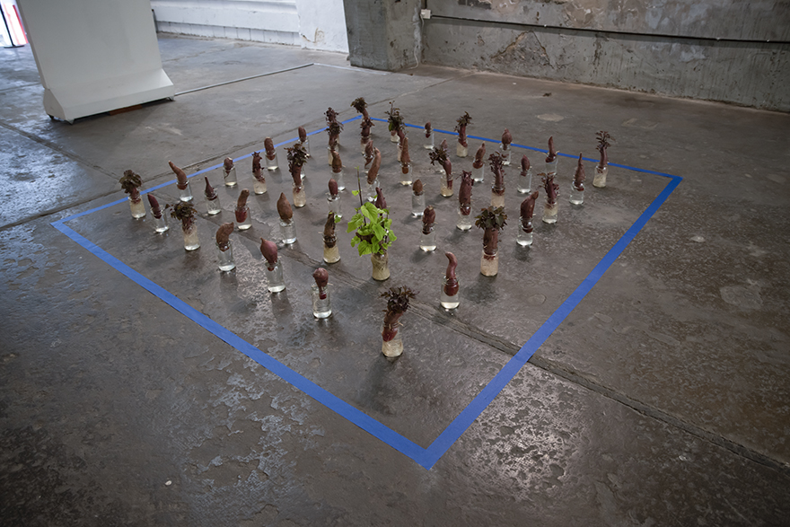 Carmargo 1020 Espacio de arte - 2021