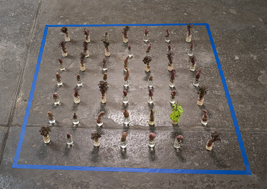 Camargo 1020 Espacio de Arte - 2021