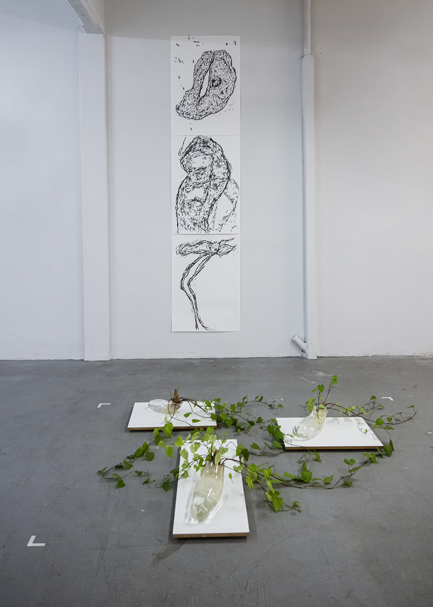 El oficio de germinar - 2021