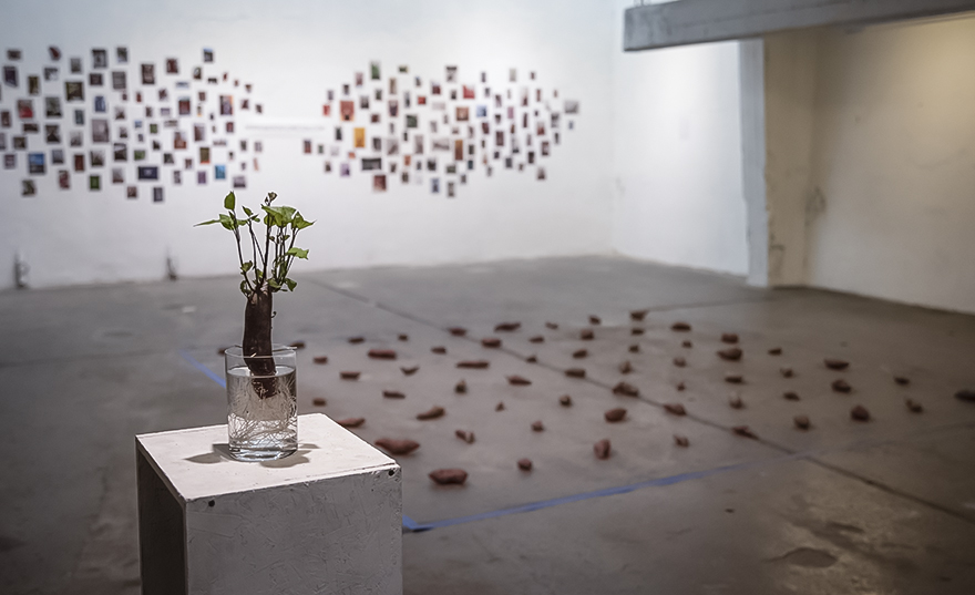 Camargo 1020 Espacio de Arte - 2022