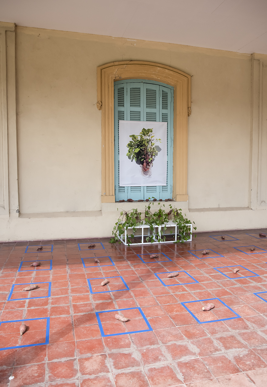 Recursos Naturales - Centro de Arte Contemporáneo La Casona de los Olivera - 2022