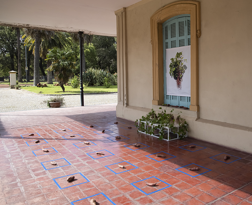 Recursos Naturales - Centro de Arte Contemporáneo La Casona de los Olivera - 2022