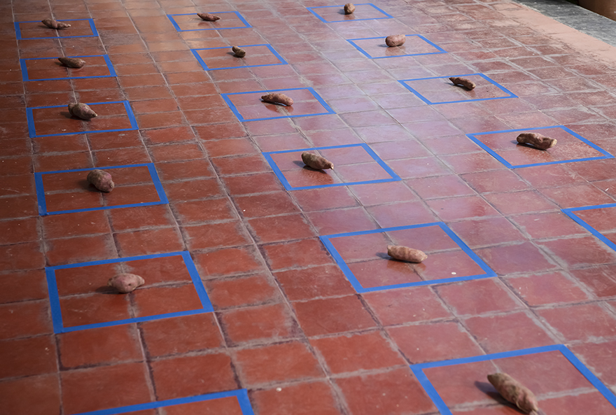 Recursos Naturales - Centro de Arte Contemporáneo La Casona de los Olivera - 202