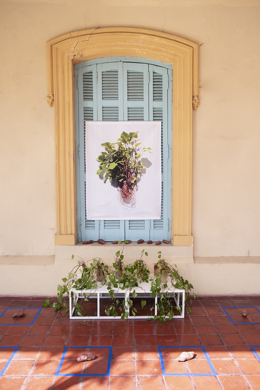 Recursos Naturales - Centro de Arte Contemporáneo La Casona de los Olivera - 2022