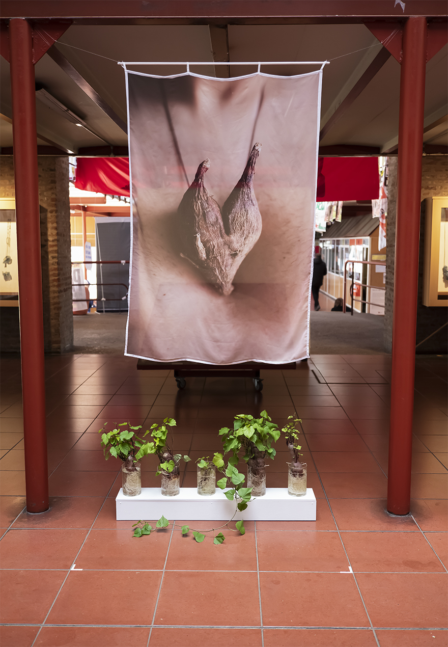 Universidad de Quilmes - Sala Rosa de los vientos - 2022