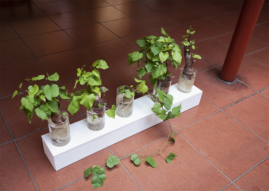 Universidad de Quilmes - Sala Rosa de los vientos - 2022