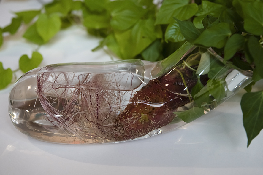 La Gran Paternal Edición X Taller 23