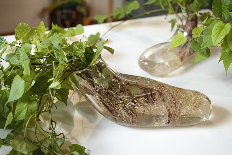 La Gran Paternal Edición X Taller 23